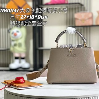 LOUIS VUITTON N80071 スネークレザー 斜め掛けバッグ 斜め掛け手提げフラップ 27x18cm サイズ:27x18cm