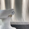シャネル優れた品質と低価格ピアスイアリング夏2303YXJ70-CH3836