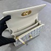 2025SS鞄クリスチャンディオールバッグカバンハンドバッグ2506SLJ000-5169