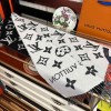 ルイヴィトン2024秋冬暖かマフラー-ショール2410PYJ110-LU012