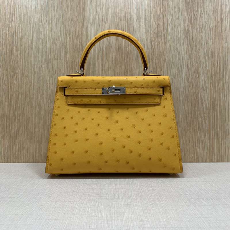 新品激安エルメスHERMESケリー25オーストリッチ2107AmyJ-HE253