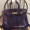 エルメスクロコ押し型BIRKINバーキン30cm-35cmDZ2001P680-BIRKIN-A04