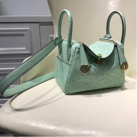 スーパーコピーエルメス（HERMES）N級品リンディ19cm手作りオーストリッチTD2001P3200-LINDY-01