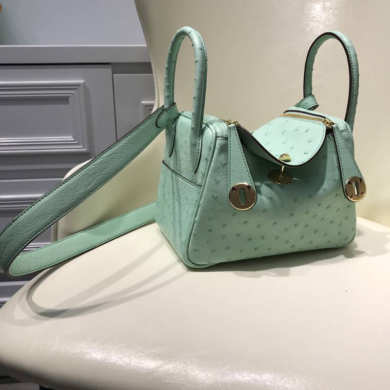 スーパーコピーエルメス（HERMES）N級品リンディ19cm手作りオーストリッチTD2001P3200-LINDY-01