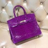 高品質エルメスクロコダイル手作りBIRKINバーキン25ZF2001P-BIRKIN25-HE13