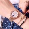 IWCレディース時計クォーツ(日本製）34mm日月星系列IWC-WD350-059　