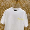 25SS服シャネル半袖Tシャツトップス 2503SJJ180-CH030