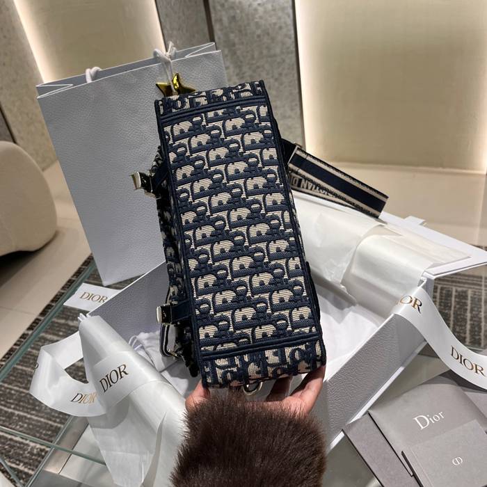DIOR ディオールキャンプ メッセンジャー 中 サイズ:29x22x12cm