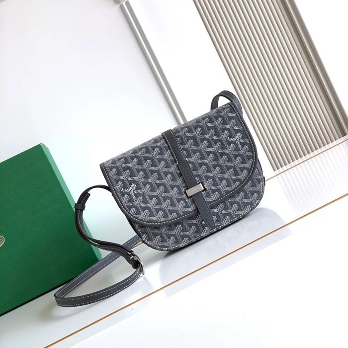 GOYARD 9202 グレー 斜め掛けバッグ、ハンドバッグ 小 22x16cm サイズ:22x16cm