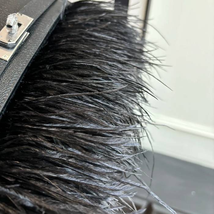 HERMES ケリー ダチョウ革 脇下バッグ Kelly サイズ: