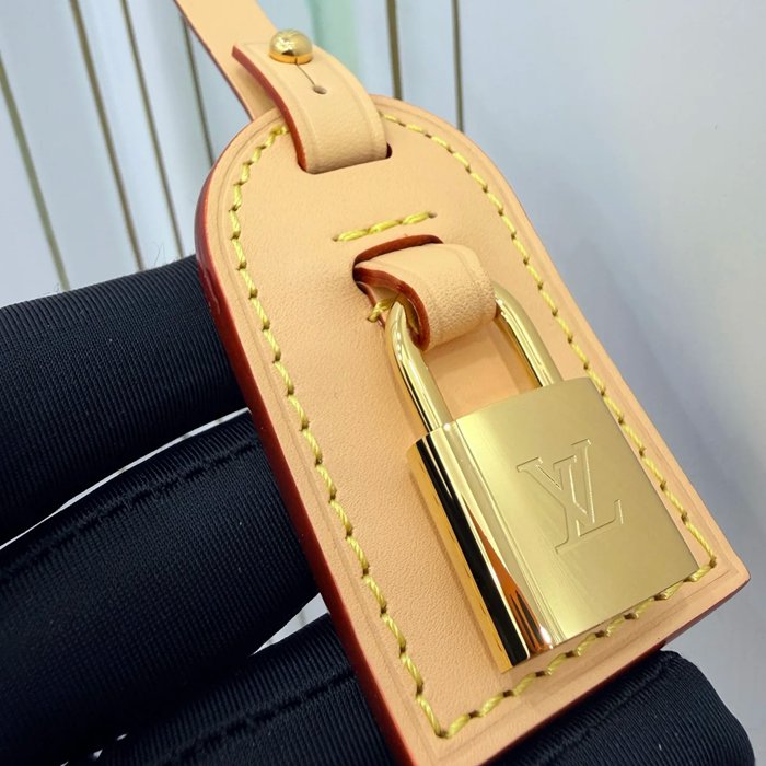 LOUIS VUITTON N40855 ボックスレザー 斜め掛けバッグ レディース斜め掛け 18x16x12cm サイズ:18x16x12cm