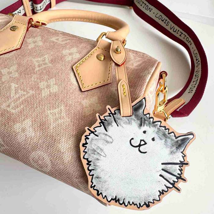 LV ショルダーバッグ ハンドバッグ スピーディ 20.5×13.5×12cm