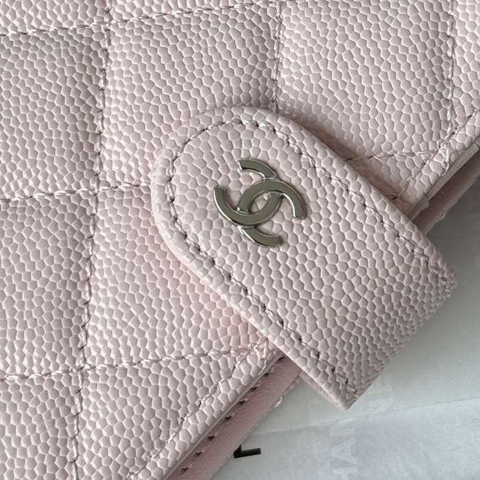 CHANEL パスポートケース カーフレザー ユニセックス 15×10×3cm