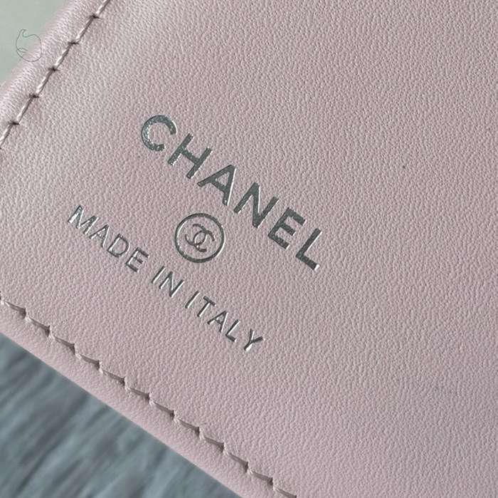 CHANEL パスポートケース カーフレザー ユニセックス 15×10×3cm