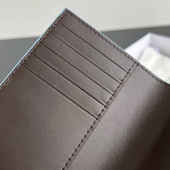 BOTTEGA VENETA BV 749441 新作パスポートケース 編み牛皮 13.3x9.5cm サイズ:13.3x9.5cm