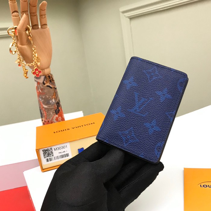 LOUIS VUITTON M30301 ポケットオーガナイザー タイガ×モノグラム サイズ:8x11cm